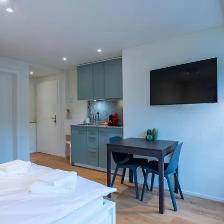 公寓 Hitrental Riesbach 苏黎世